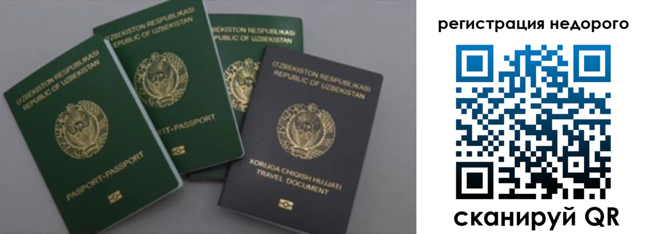 пропишу в квартире в Светлогорске