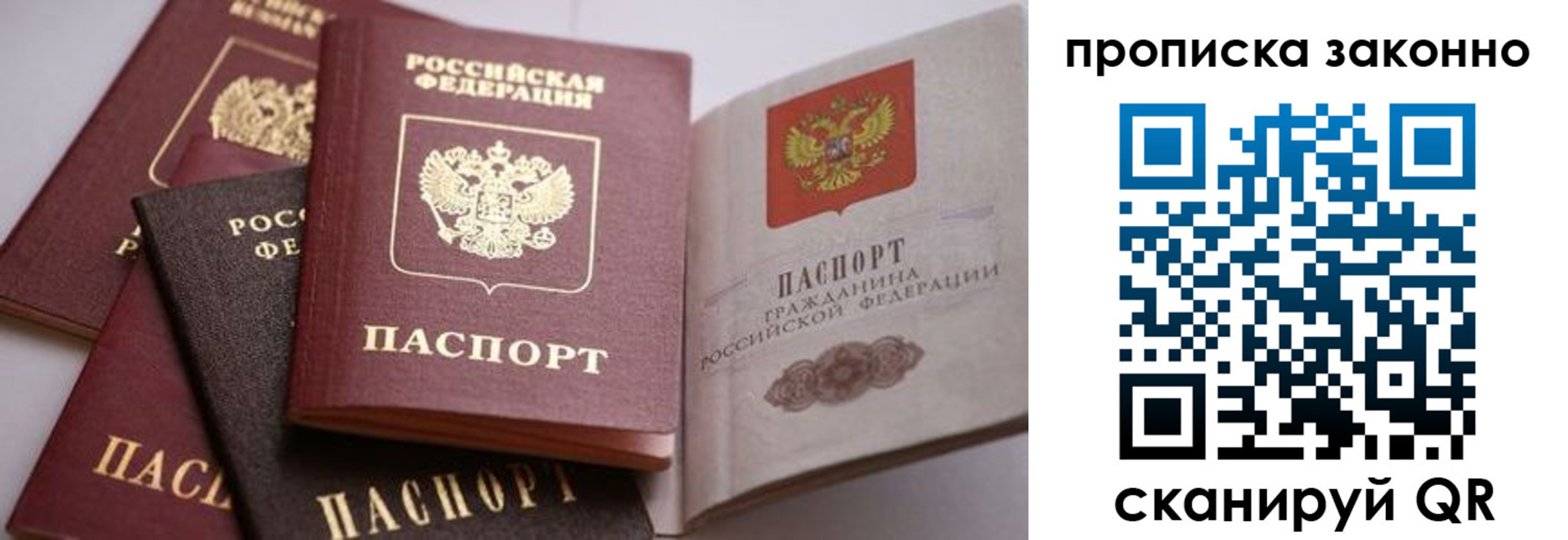 временная регистрация в Светлогорске