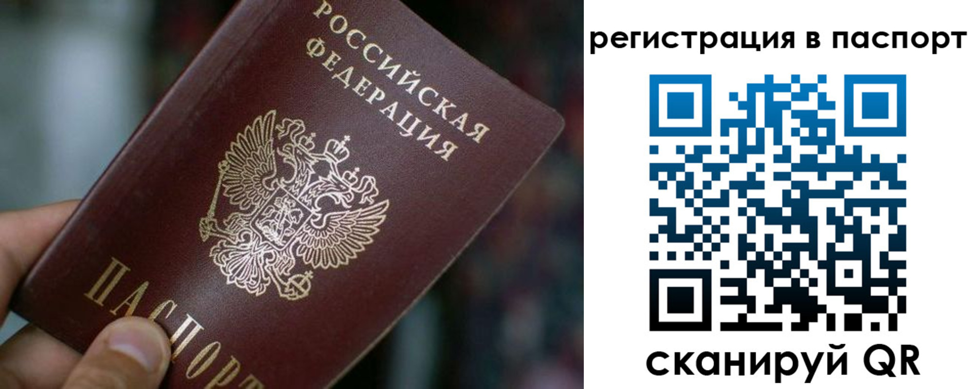 временная регистрация недорого в Светлогорске